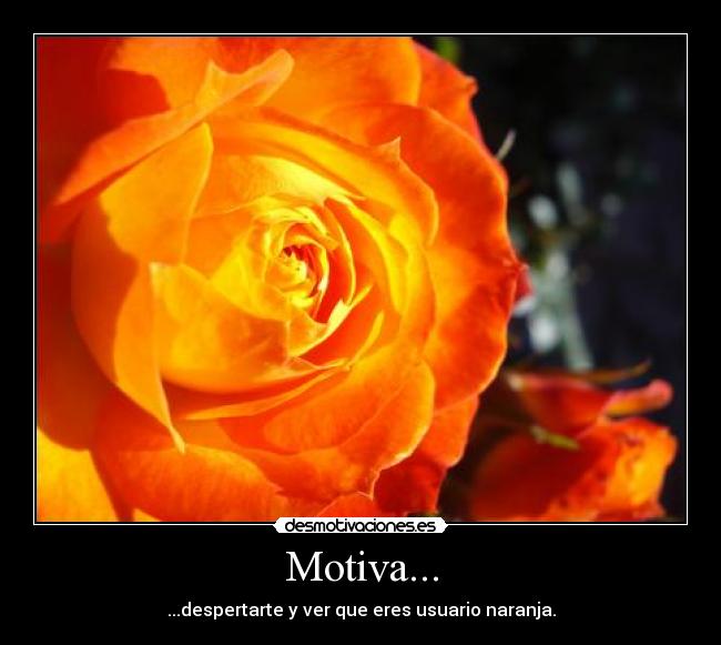 Motiva... - ...despertarte y ver que eres usuario naranja.