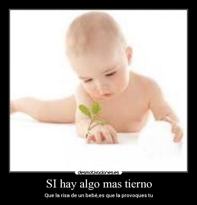 SI hay algo mas tierno - 