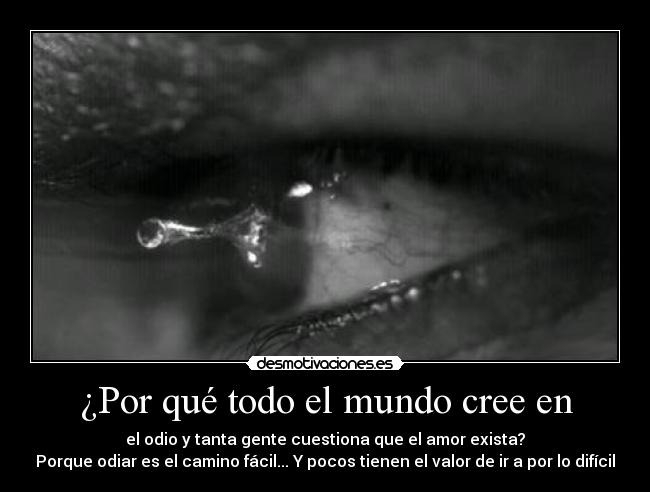 carteles mundo humanidad amor odio desmotivaciones