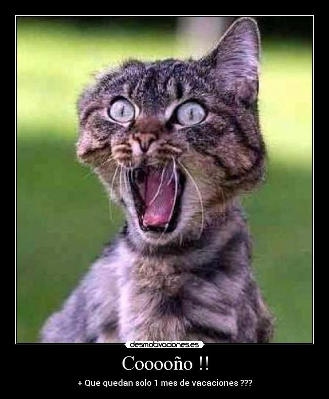 Cooooño !! - + Que quedan solo 1 mes de vacaciones ???