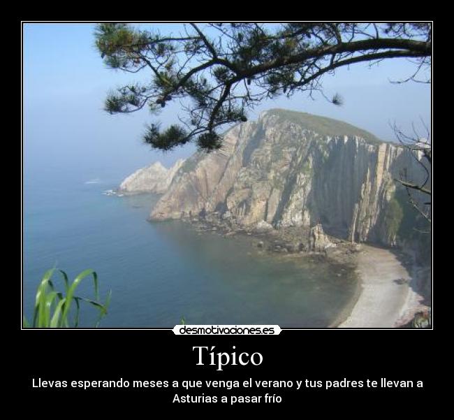 Típico - 