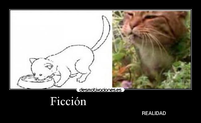 Ficción                      -                                                                                       REALIDAD