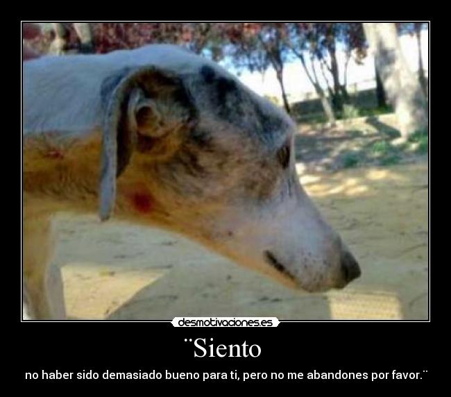 ¨Siento  - no haber sido demasiado bueno para ti, pero no me abandones por favor.¨