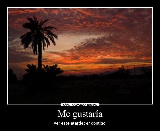 Me gustaría - ver este atardecer contigo.