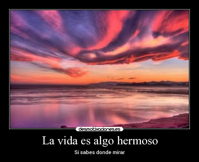 La vida es algo hermoso -