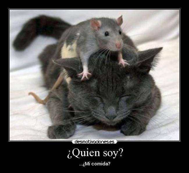 ¿Quien soy? - 