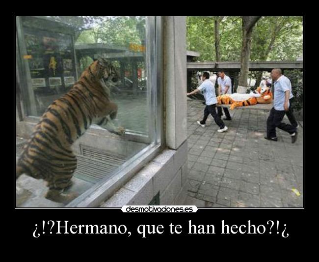 ¿!?Hermano, que te han hecho?!¿ -