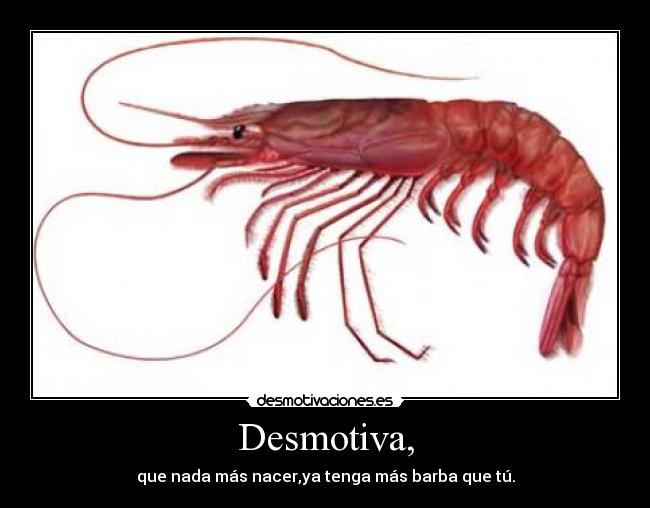 Desmotiva, -