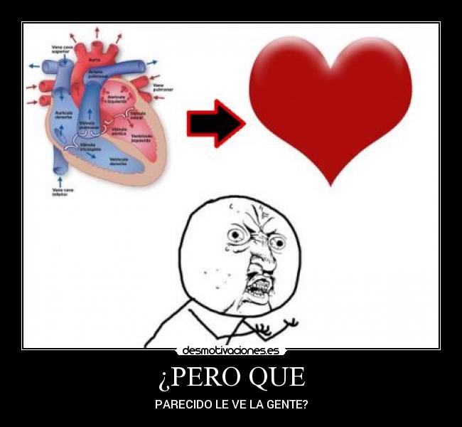 ¿PERO QUE - 