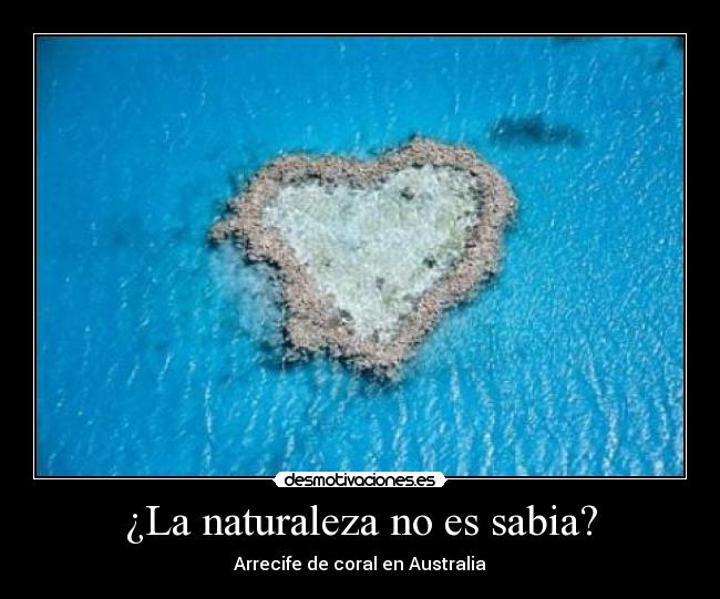 ¿La naturaleza no es sabia? -