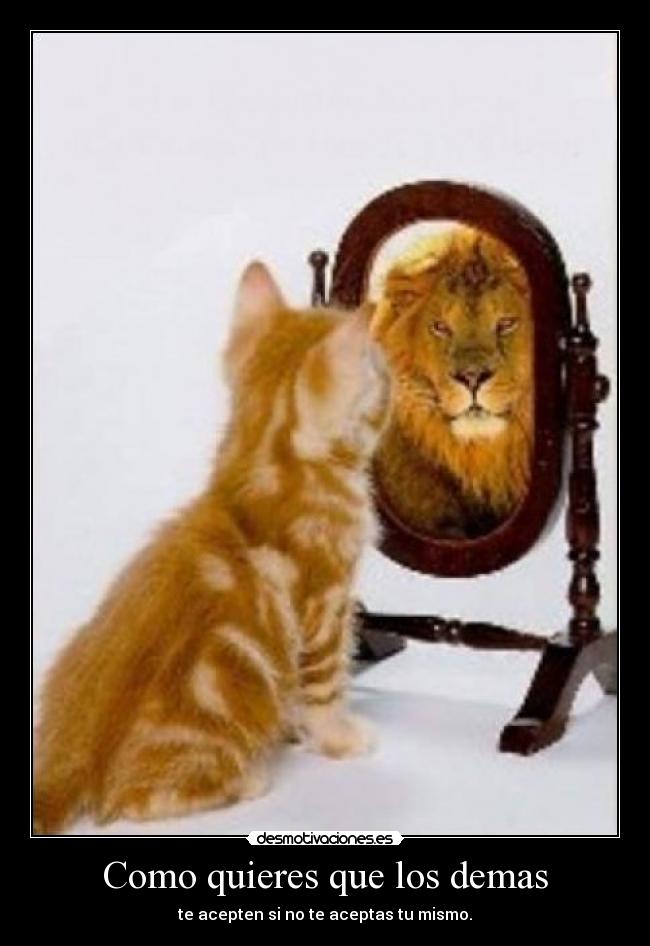 Como quieres que los demas -