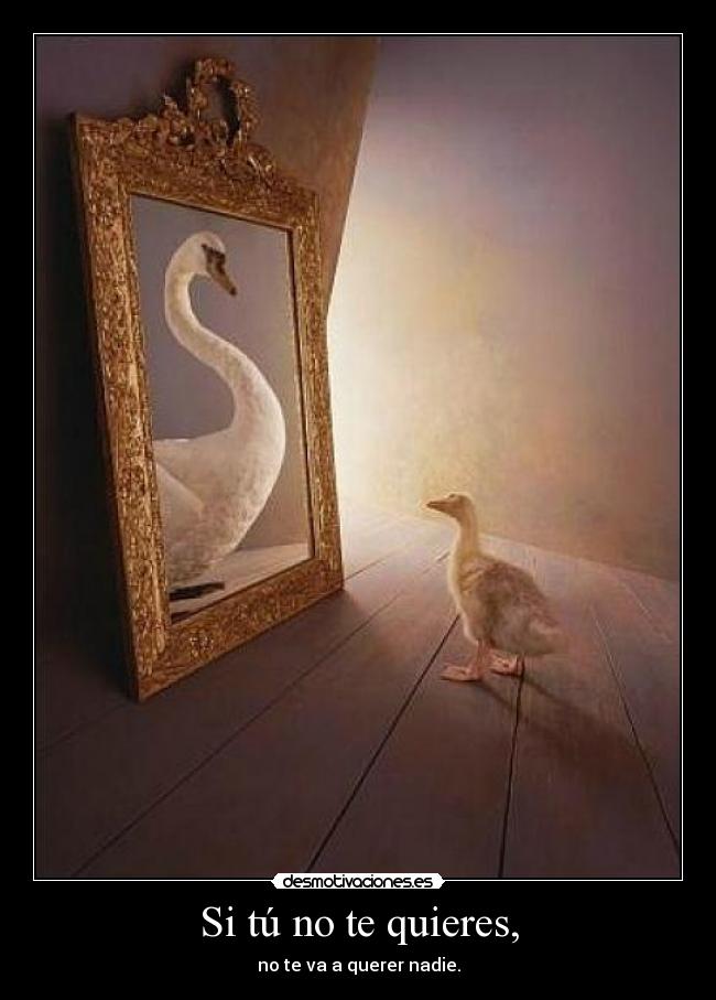 Si tú no te quieres, - no te va a querer nadie.