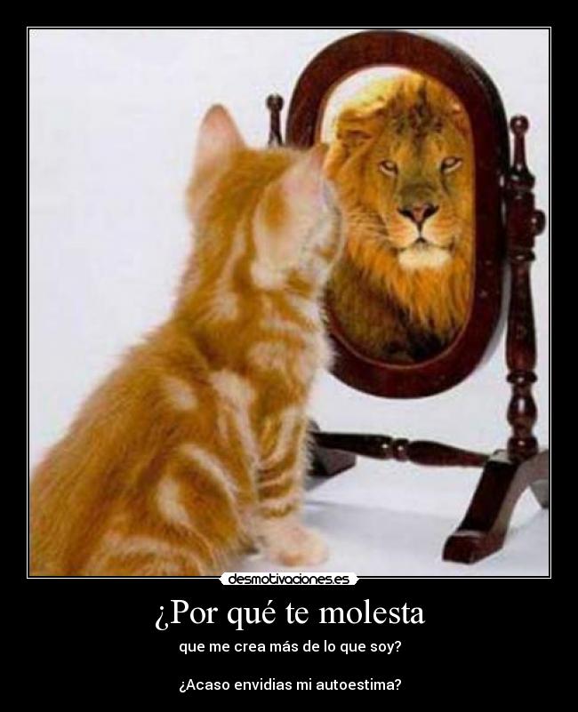¿Por qué te molesta - que me crea más de lo que soy?
¿Acaso envidias mi autoestima?