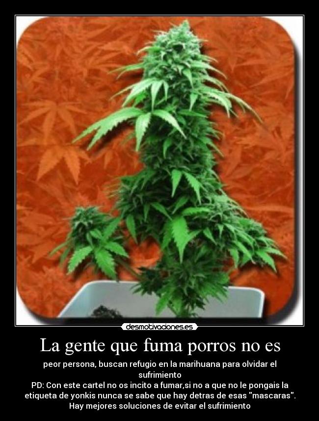 La gente que fuma porros no es -