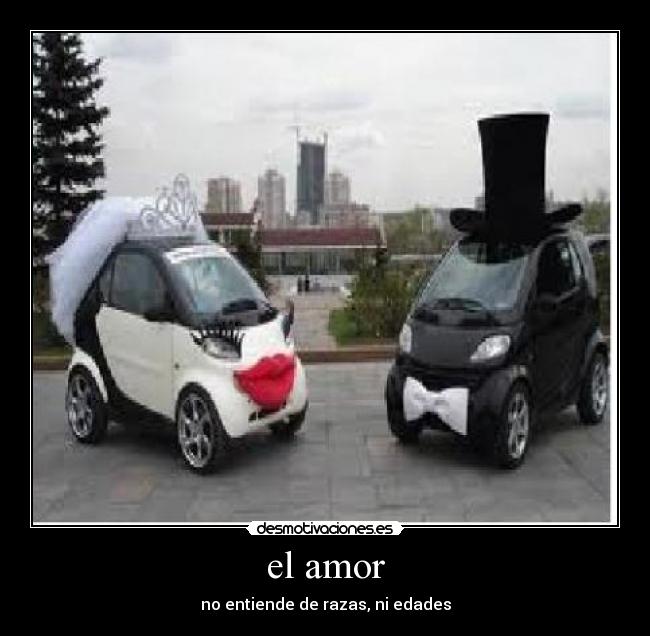 carteles amor auto love desmotivaciones