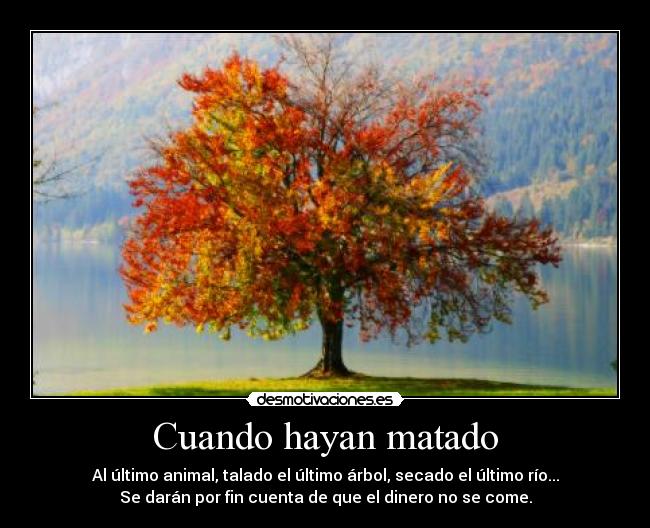 Cuando hayan matado - 