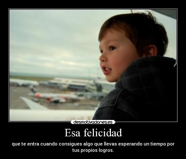 carteles felicidad felicidad desmotivaciones