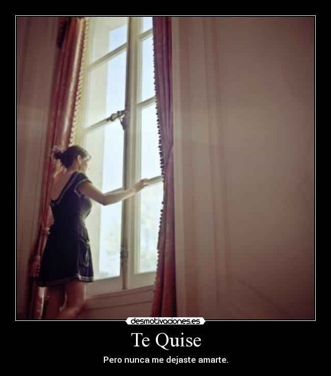 Te Quise - Pero nunca me dejaste amarte.