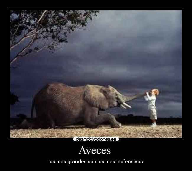Aveces -