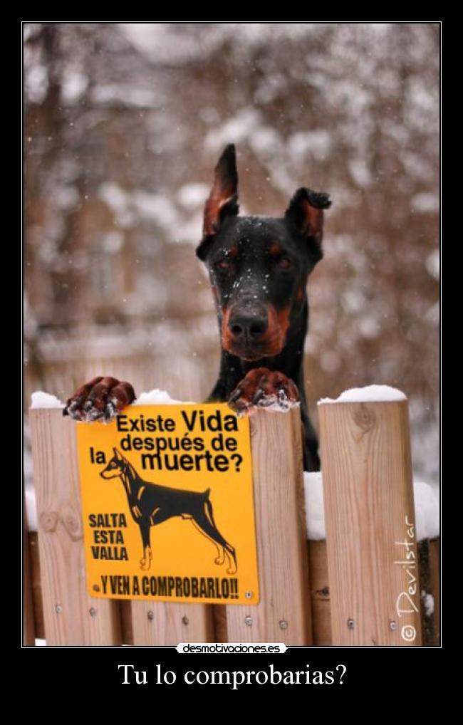 Tu lo comprobarias? -