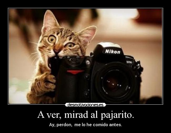 A ver, mirad al pajarito. - Ay, perdon,  me lo he comido antes.