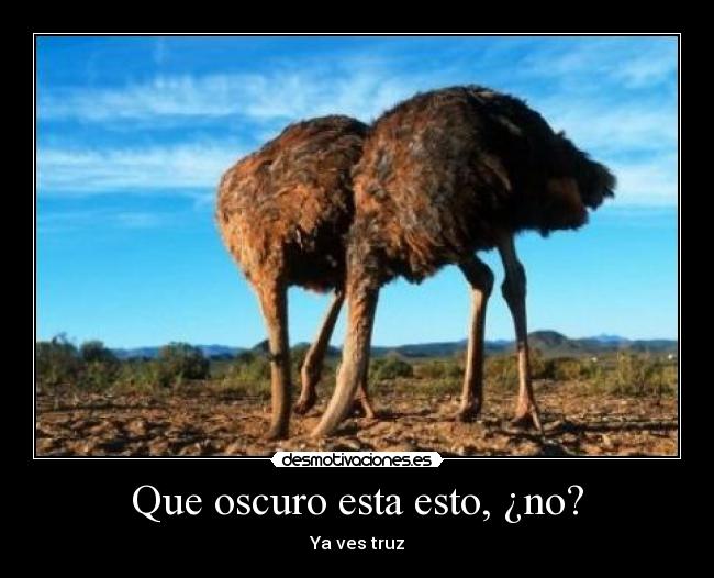 Que oscuro esta esto, ¿no? - Ya ves truz