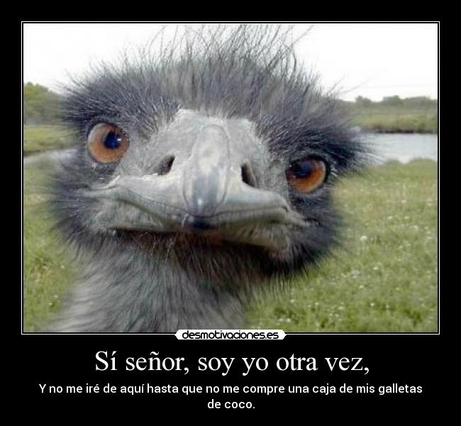 Sí señor, soy yo otra vez, -