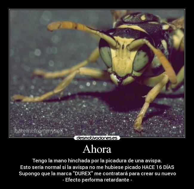 Ahora - Tengo la mano hinchada por la picadura de una avispa.
Esto sería normal si la avispa no me hubiese picado HACE 16 DÍAS
Supongo que la marca DUREX me contratará para crear su nuevo
- Efecto performa retardante -