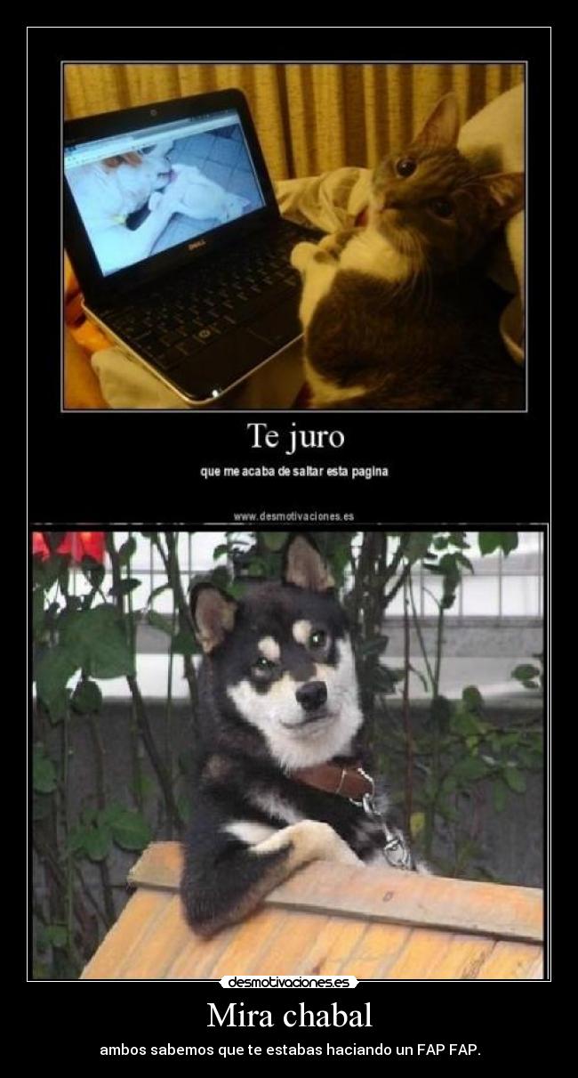 carteles walt_k desmotivaciones