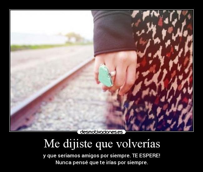 Me dijiste que volverías -