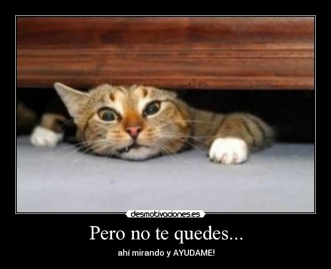 Pero no te quedes... -