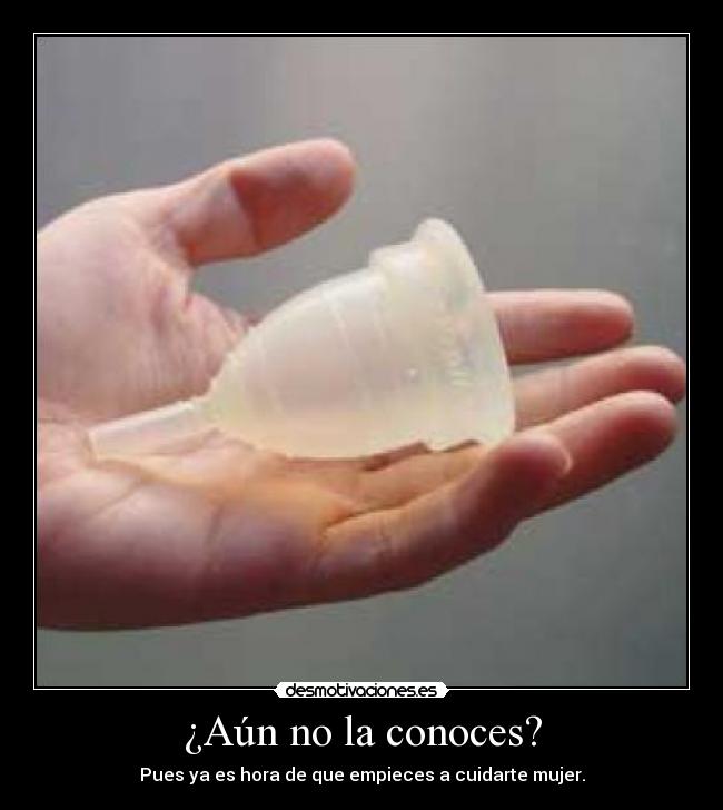 ¿Aún no la conoces? - 