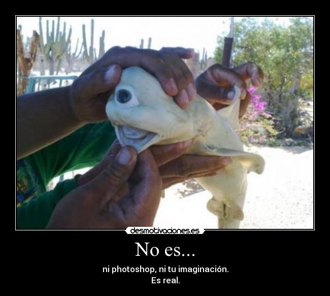 No es... -