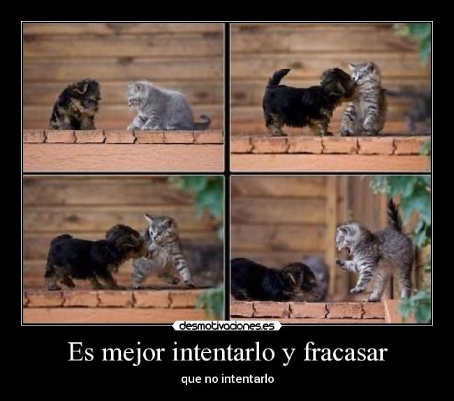 Es mejor intentarlo y fracasar -