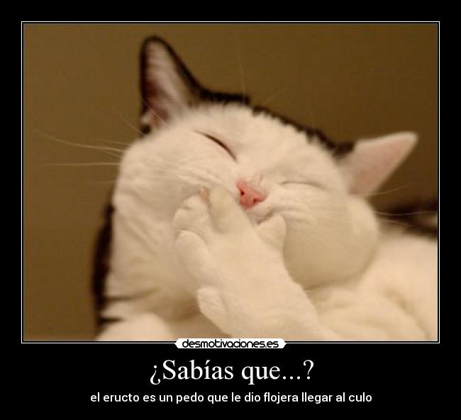 ¿Sabías que...? - el eructo es un pedo que le dio flojera llegar al culo