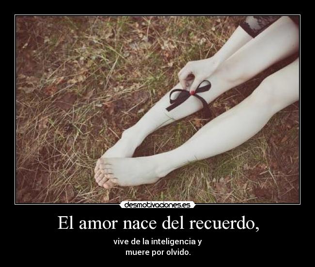 El amor nace del recuerdo, -