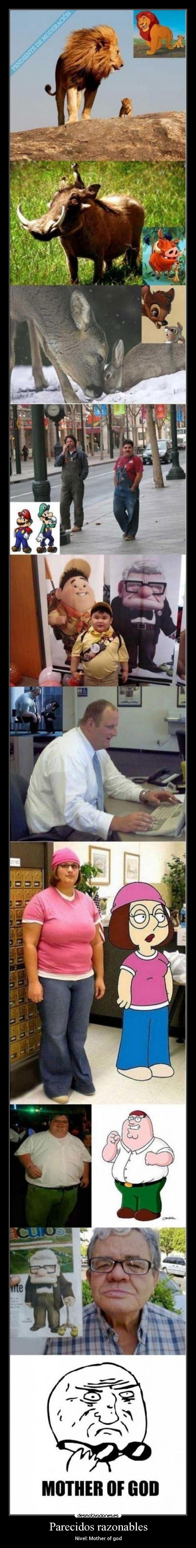 Parecidos razonables -