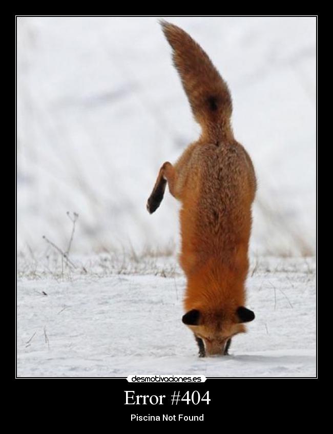carteles error 404 desmotivaciones