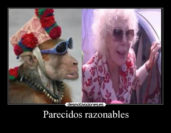 Parecidos razonables - 