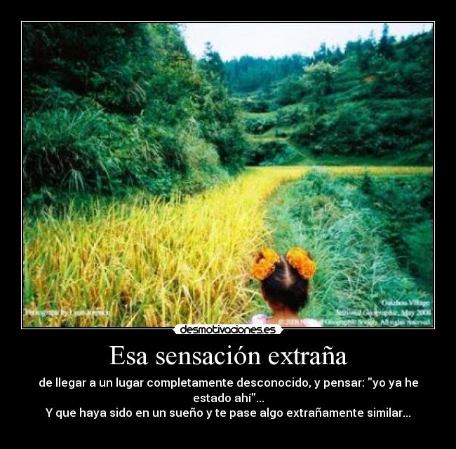 carteles suenos lugares personas desmotivaciones