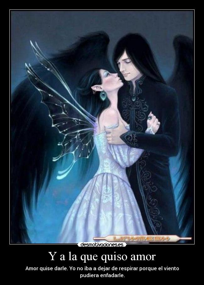 carteles amor amor quise darle desmotivaciones