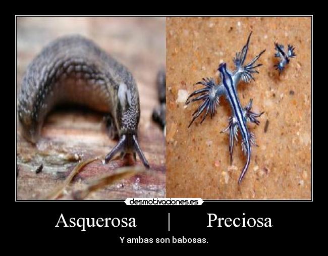 Asquerosa      |       Preciosa - 