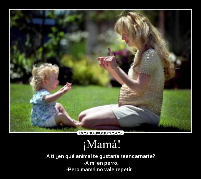 ¡Mamá! - A ti ¿en qué animal te gustaría reencarnarte?
-A mí en perro.
-Pero mamá no vale repetir...