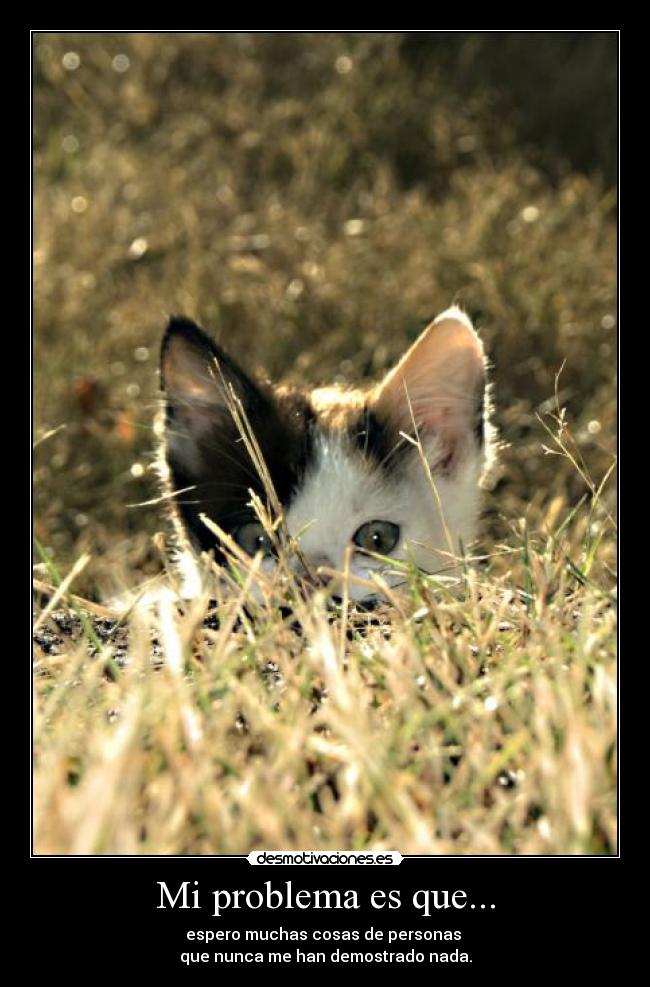Mi problema es que... -