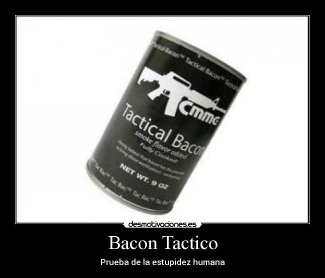 Bacon Tactico - Prueba de la estupidez humana