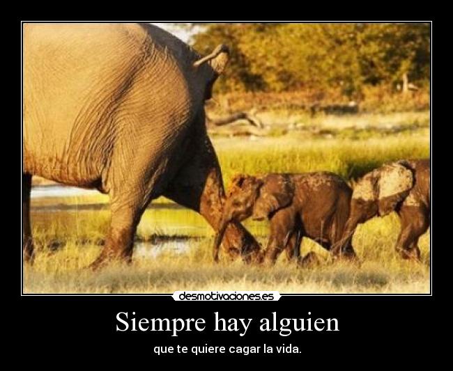 Siempre hay alguien -