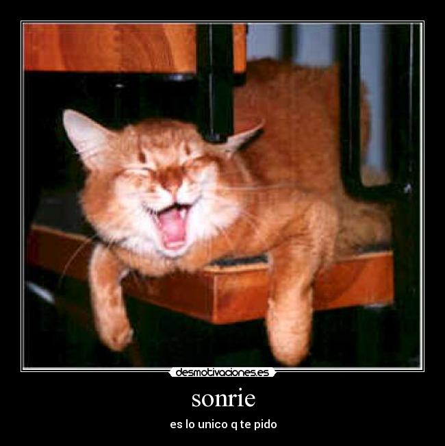 sonrie - es lo unico q te pido
