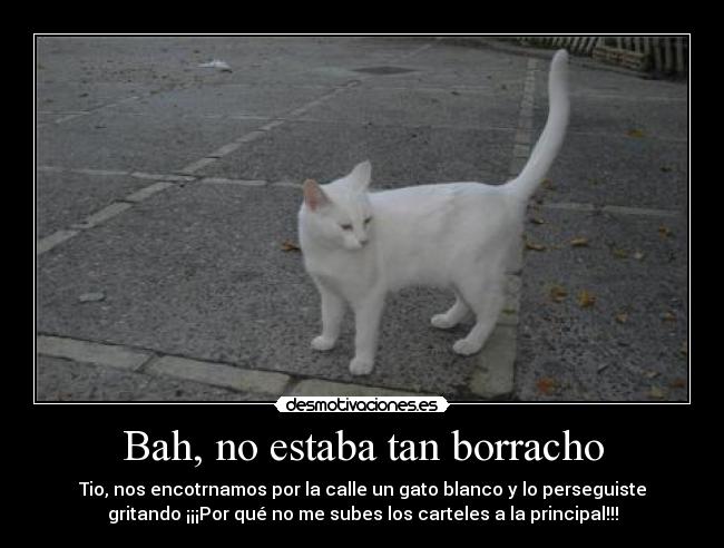 carteles bah estaba tan borracho desmotivaciones