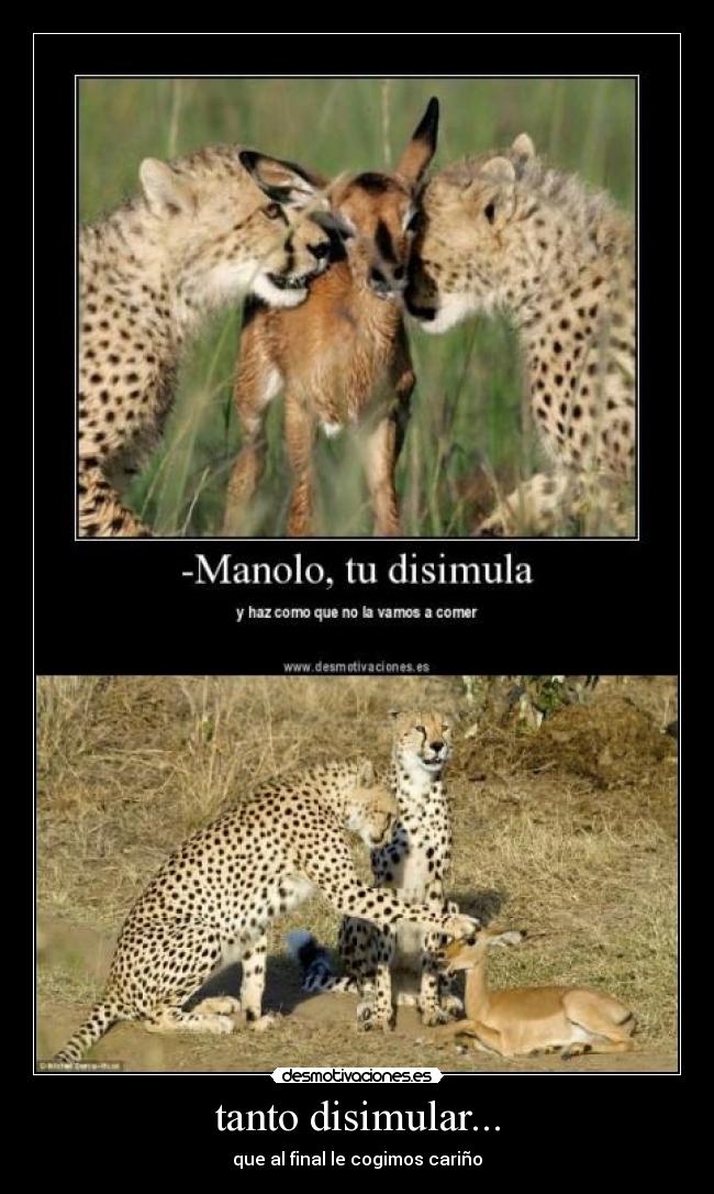 tanto disimular... -