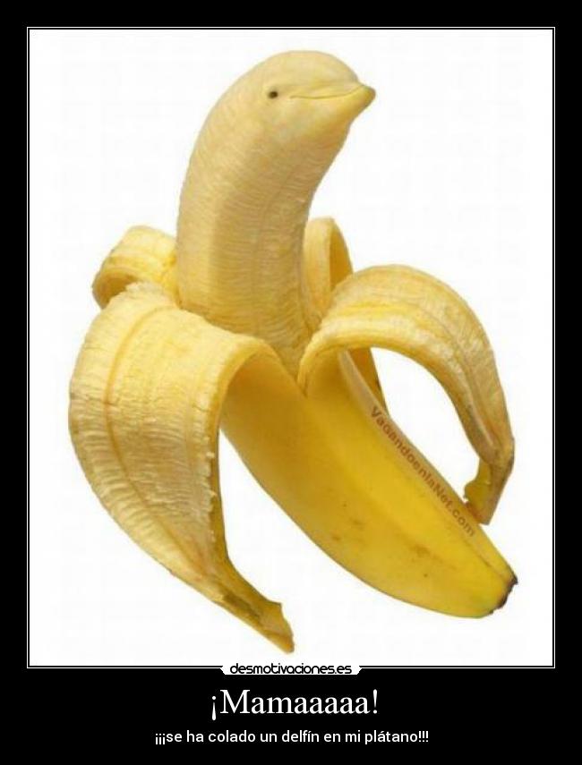 ¡Mamaaaaa! - ¡¡¡se ha colado un delfín en mi plátano!!!